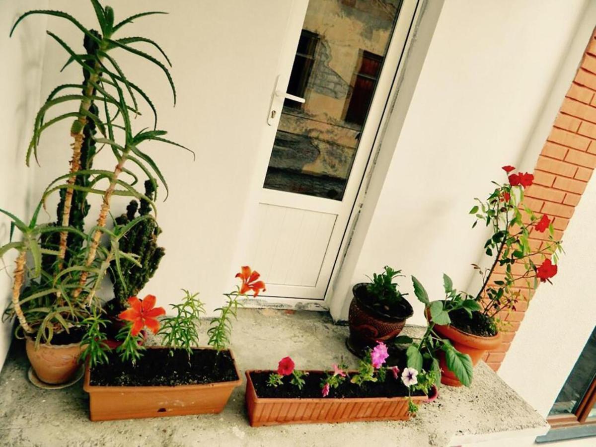 Erik'S Guest House Borjomi Εξωτερικό φωτογραφία