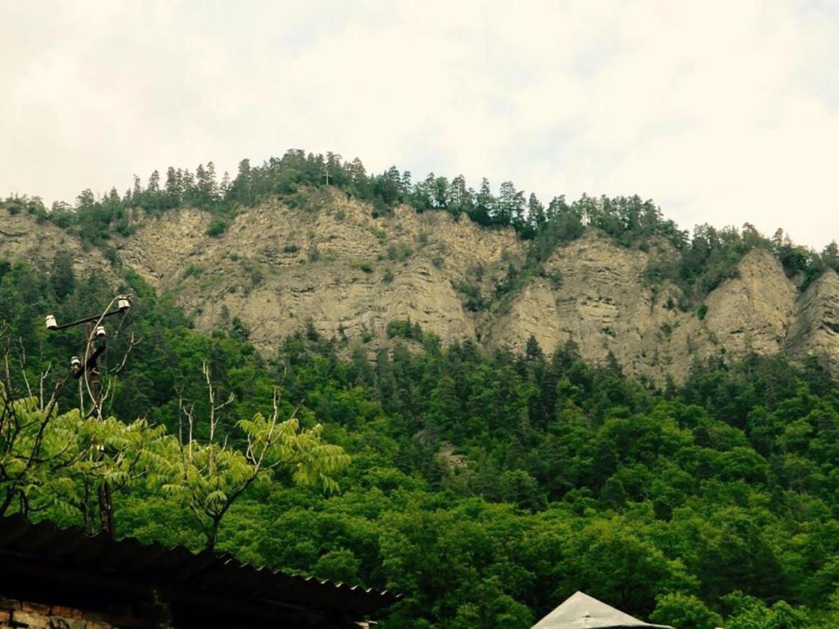 Erik'S Guest House Borjomi Εξωτερικό φωτογραφία
